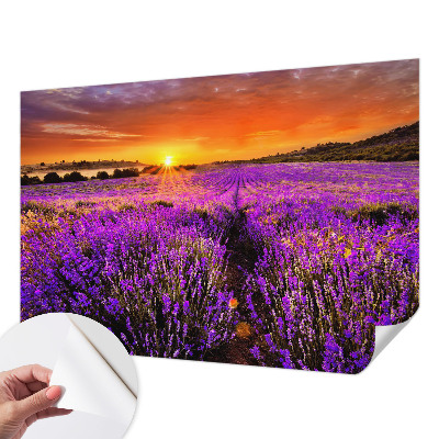 3D fototapetas sienoms su levandų motyvu „Solnedgangas“