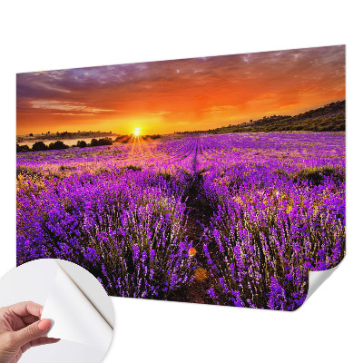 3D fototapetas sienoms su levandų motyvu „Solnedgangas“