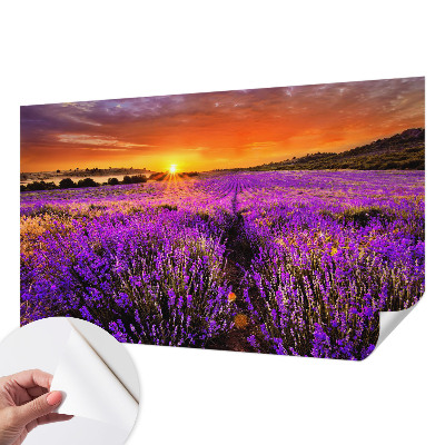 3D fototapetas sienoms su levandų motyvu „Solnedgangas“