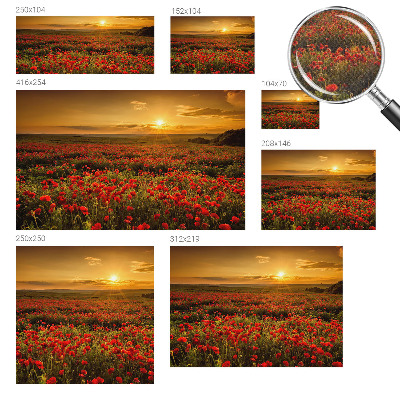 Fototapetai su aguonų lauku