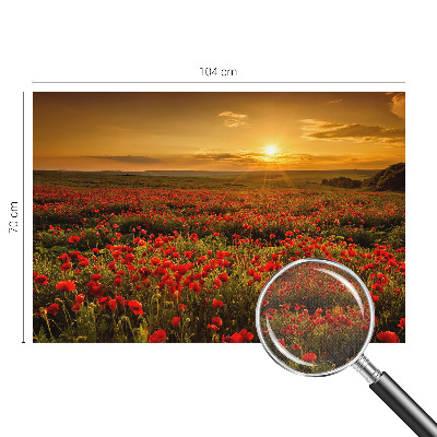 Fototapetai Valmuefeltas