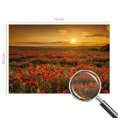 Fototapetai su aguonų lauku