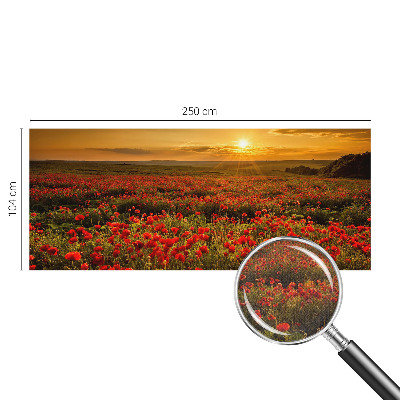 Fototapetai su aguonų lauku