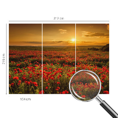 Fototapetai su aguonų lauku
