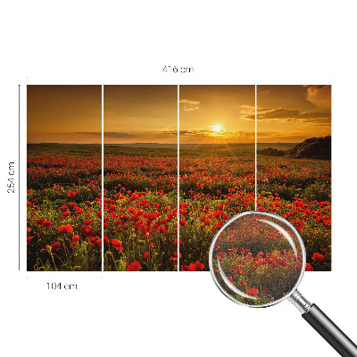 Fototapetai su aguonų lauku