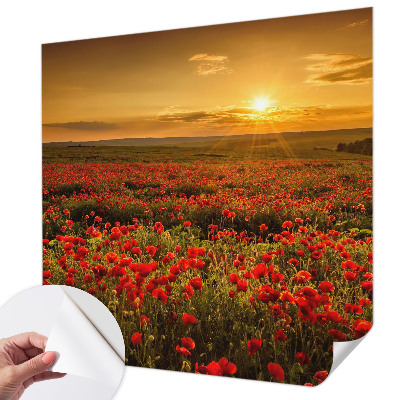 Fototapetai Valmuefeltas