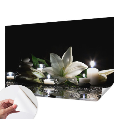 3D fototapetas su atvirkštine scena