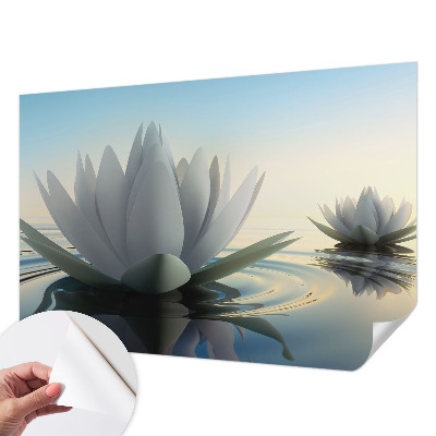 3D fototapetas sienoms su akanderų motyvu