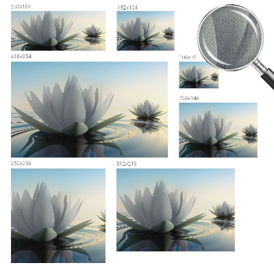 3D fototapetas sienoms su akanderų motyvu