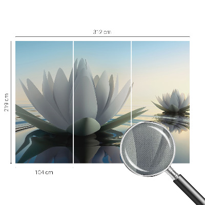 3D fototapetas sienoms Åkander