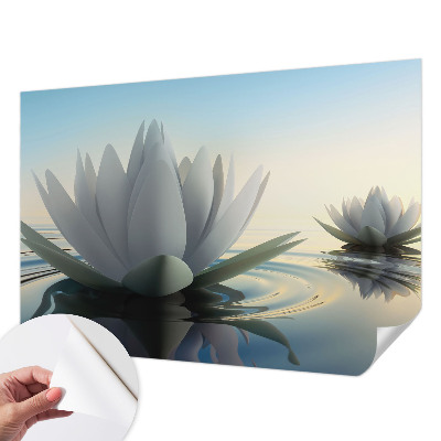 3D fototapetas sienoms su akanderų motyvu