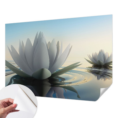 3D fototapetas sienoms su akanderų motyvu