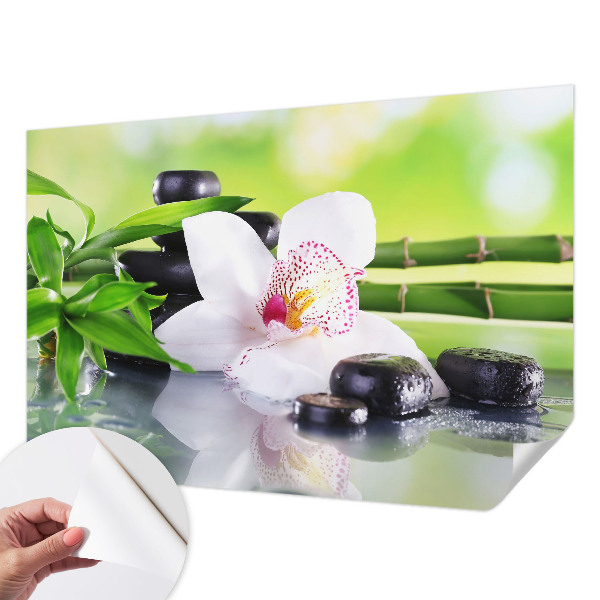 Fototapetas vaikams Naturens fred