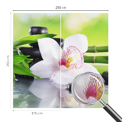 Fototapetas vaikams Naturens fred