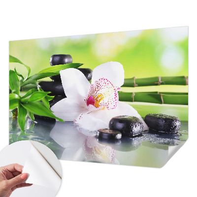 Fototapetas vaikams Naturens fred