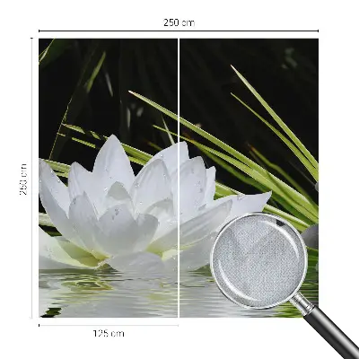 3D fototapetas su „Liljemeditacija“ motyvu