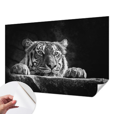 3D fototapetas sienoms su plėšrų gyvūnų įvaizdžiu