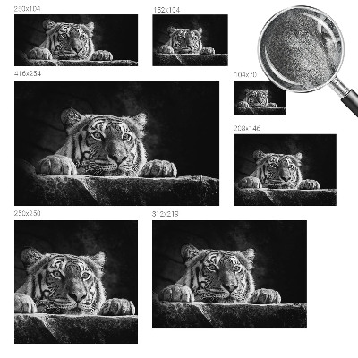3D fototapetas sienoms su plėšrų gyvūnų įvaizdžiu