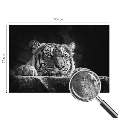 3D fototapetas sienoms su plėšrų gyvūnų įvaizdžiu