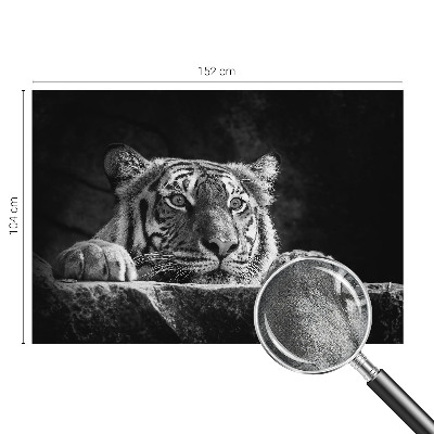 3D fototapetas sienoms su plėšrų gyvūnų įvaizdžiu