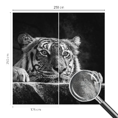 3D fototapetas sienoms su plėšrų gyvūnų įvaizdžiu
