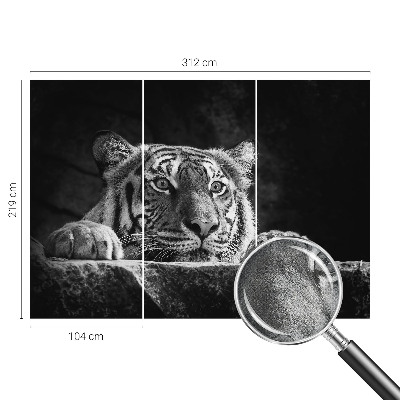 3D fototapetas sienoms su plėšrų gyvūnų įvaizdžiu