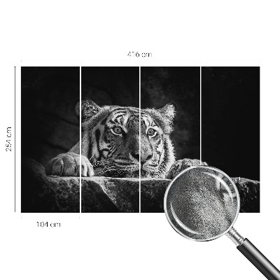 3D fototapetas sienoms su plėšrų gyvūnų įvaizdžiu