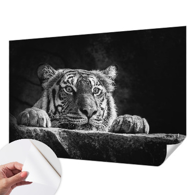 3D fototapetas sienoms su plėšrų gyvūnų įvaizdžiu