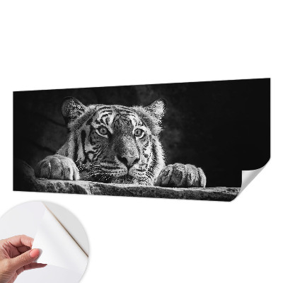 3D fototapetas sienoms su plėšrų gyvūnų įvaizdžiu