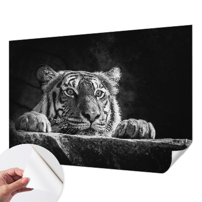 3D fototapetas sienoms su plėšrų gyvūnų įvaizdžiu