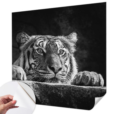 3D fototapetas sienoms su plėšrų gyvūnų įvaizdžiu