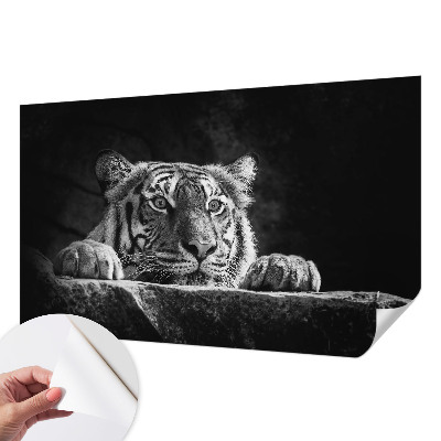 3D fototapetas sienoms su plėšrų gyvūnų įvaizdžiu
