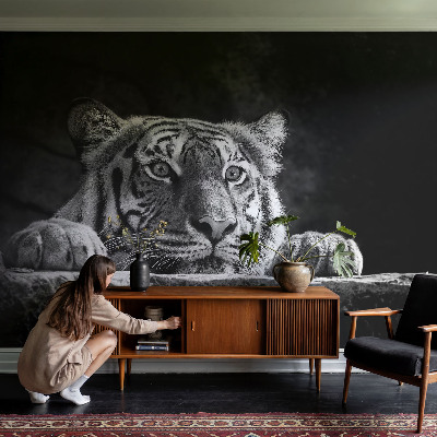 3D fototapetas sienoms Rovdyragtigt udseende