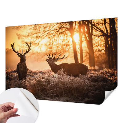 Fototapetai su dizainu „Rytoj šviečia“
