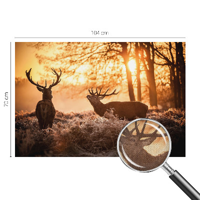 Fototapetai Rytoj šviečia