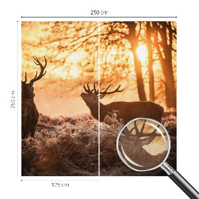 Fototapetai su dizainu „Rytoj šviečia“