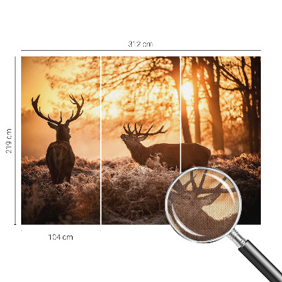 Fototapetai Rytoj šviečia