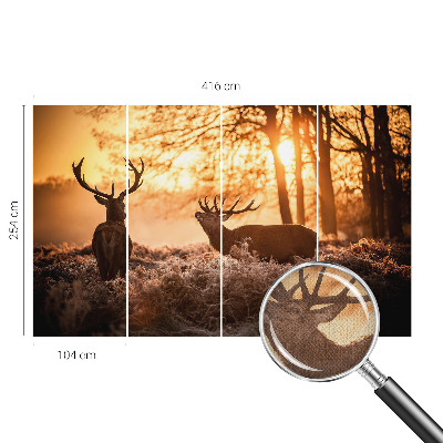 Fototapetai Rytoj šviečia