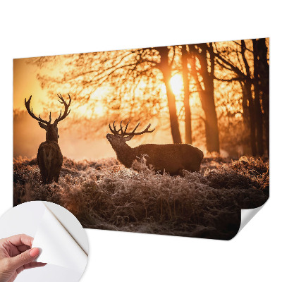 Fototapetai su dizainu „Rytoj šviečia“