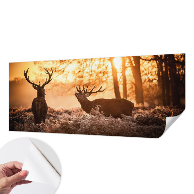 Fototapetai su dizainu „Rytoj šviečia“