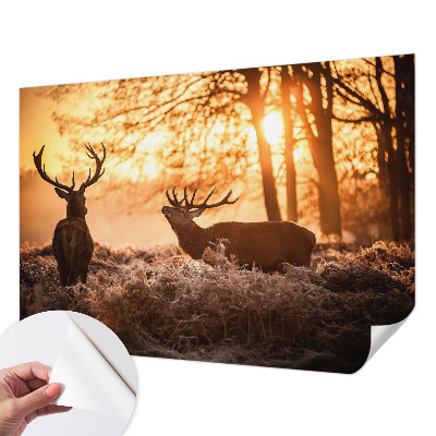 Fototapetai su dizainu „Rytoj šviečia“