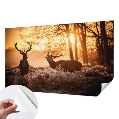 Fototapetai su dizainu „Rytoj šviečia“