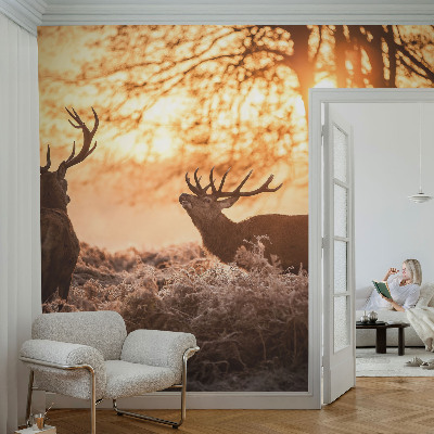 Fototapetai su dizainu „Rytoj šviečia“
