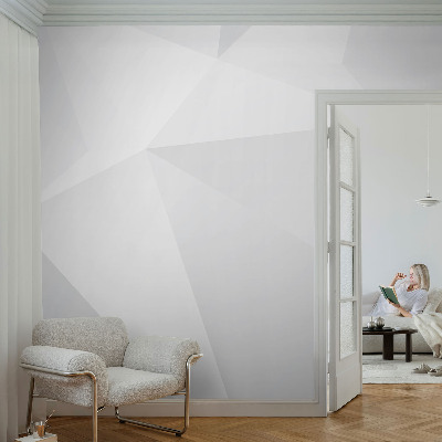 3D fototapetas sienoms Didelis trekanteris