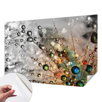 Tapetai Jeg dugger juveler