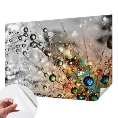 Tapetai Jeg dugger juveler