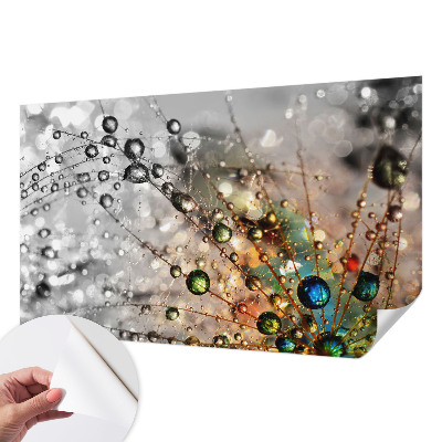 Tapetai Jeg dugger juveler