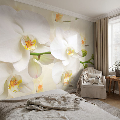 Savaime lipnus fototapetas Blomsterrigdomas