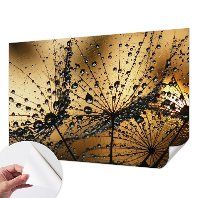 3D fototapetas su subtiliu drabužio motyvu