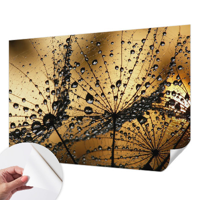 3D fototapetas su subtiliu drabužio motyvu